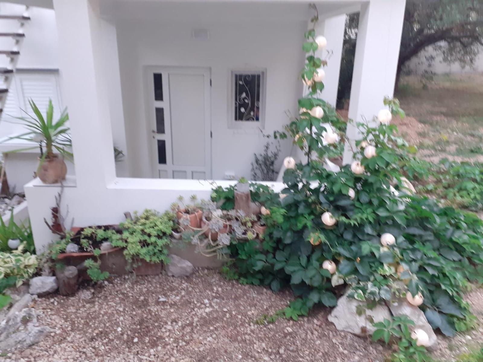 Villa Ana 马卡尔斯卡 客房 照片